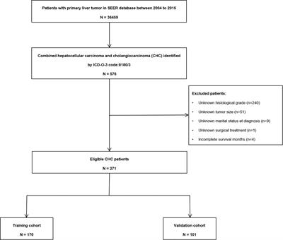 Prediction of Survival and Analysis of Prognostic Factors for Patients With Combined Hepatocellular Carcinoma and Cholangiocarcinoma: A Population-Based Study